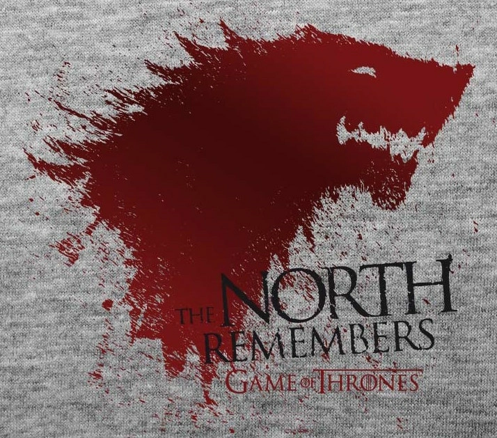 ABYstyle GAME OF THRONES - T-Shirt The North Remember (S) 2 ABYstyle GAME OF THRONES - T-Shirt The North Remember (S) â Image 2